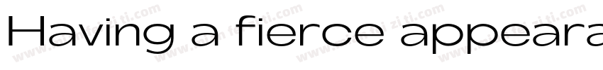 Having a fierce appearance字体转换